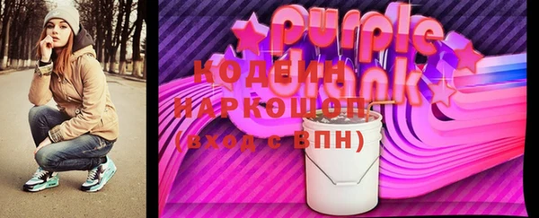 индика Вязьма