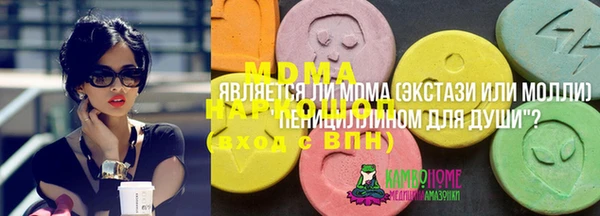 индика Вязьма